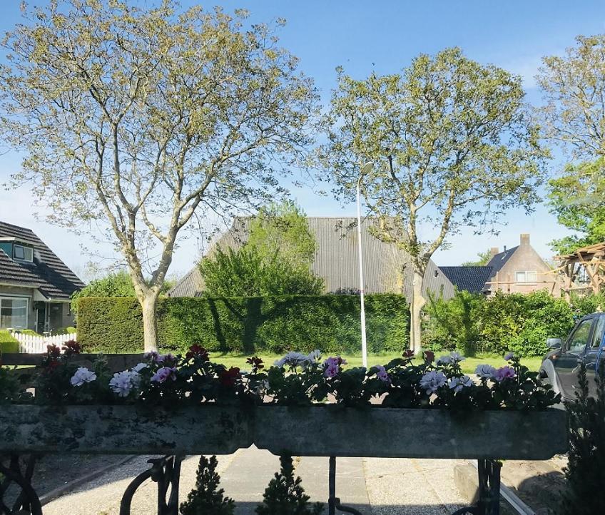 De Fryske Wyn Bed & Breakfast Ferwerd ภายนอก รูปภาพ